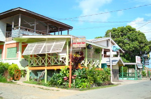 The Fish Pot